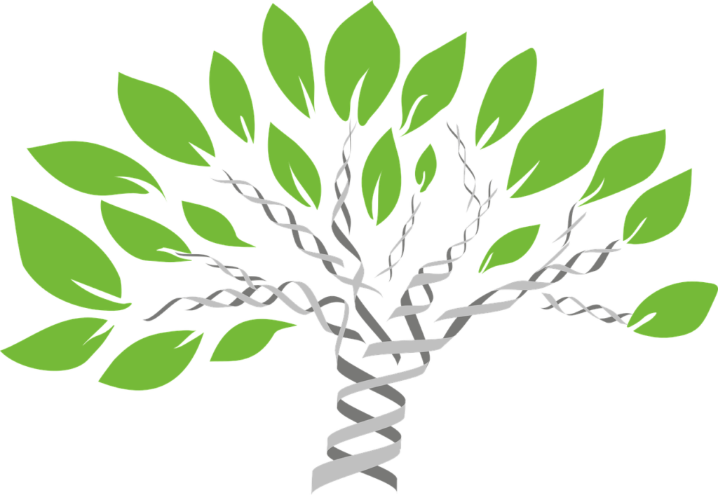 gene tree, tree of life, evolution-1490270.jpg